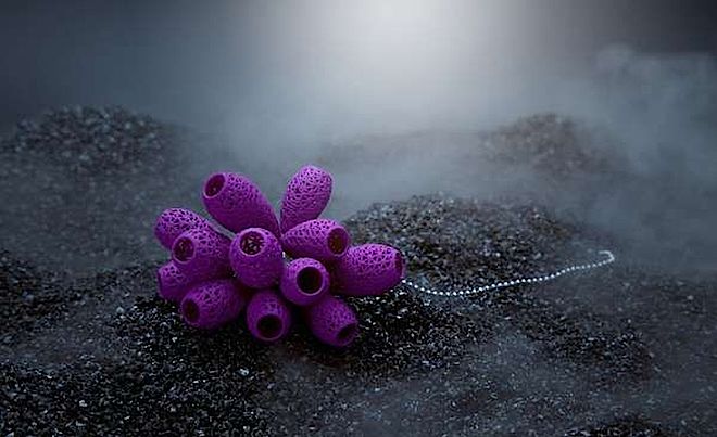 Nylonowa biżuteria Blueberries. Jagody w technice 3D